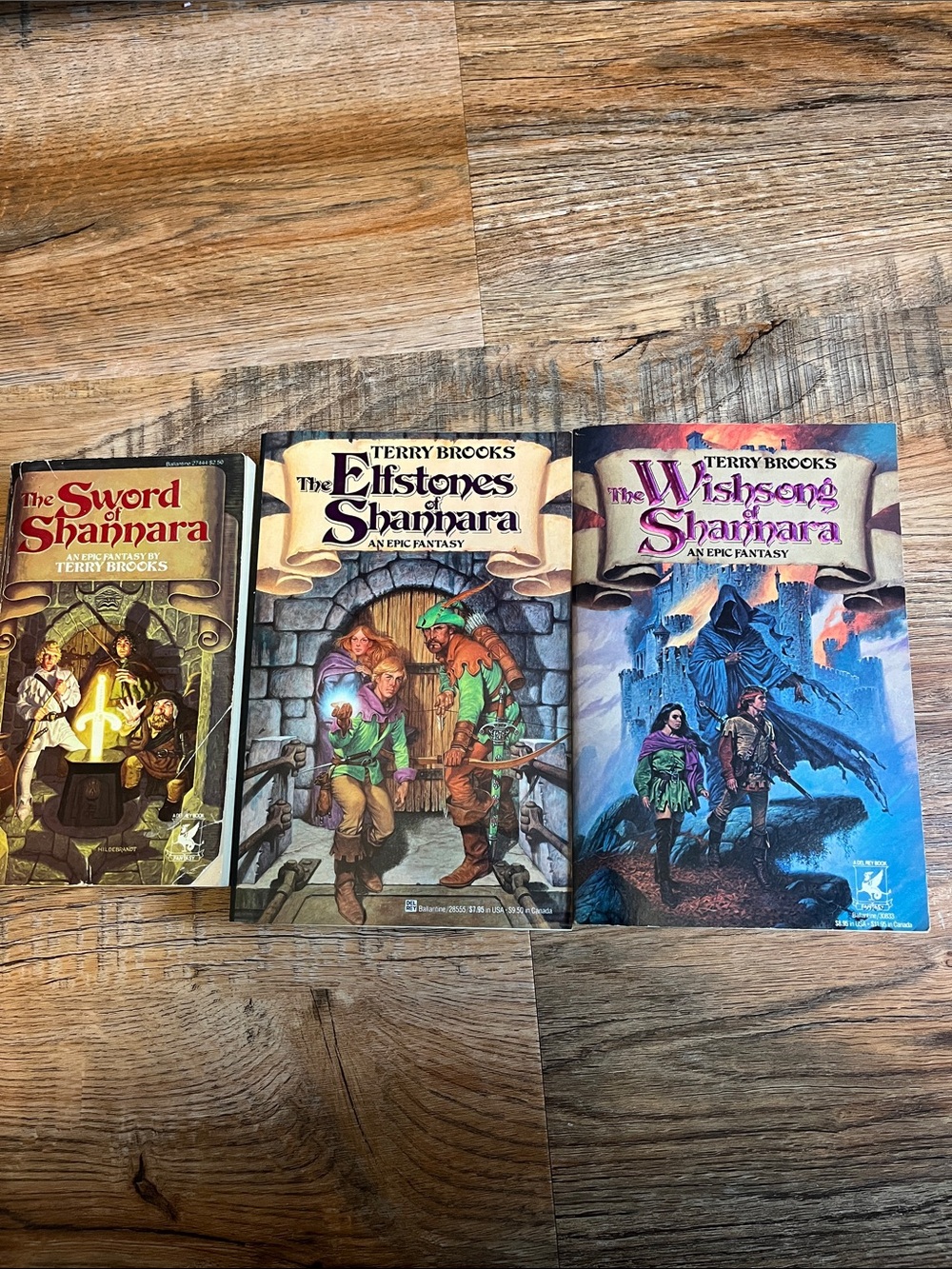 The Sword of Shannara series by Terry Brooks